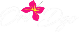Oridgo MX
